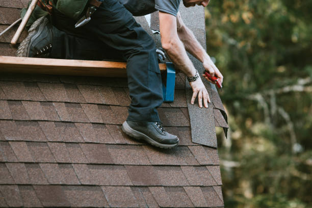 Roof Gutter Cleaning in Gray Summit, MO